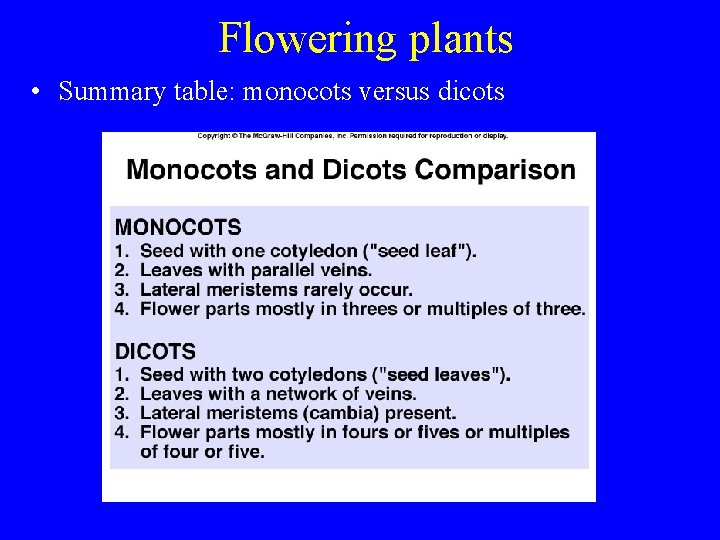 Flowering plants • Summary table: monocots versus dicots 