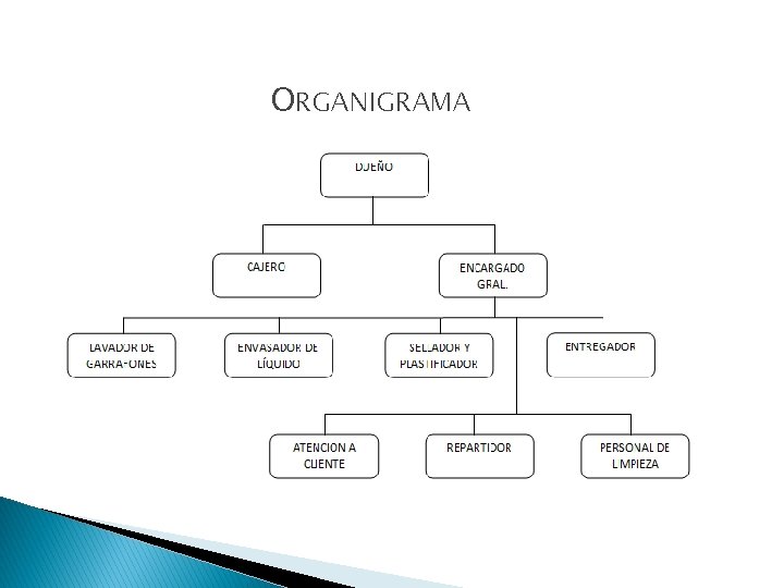 ORGANIGRAMA 