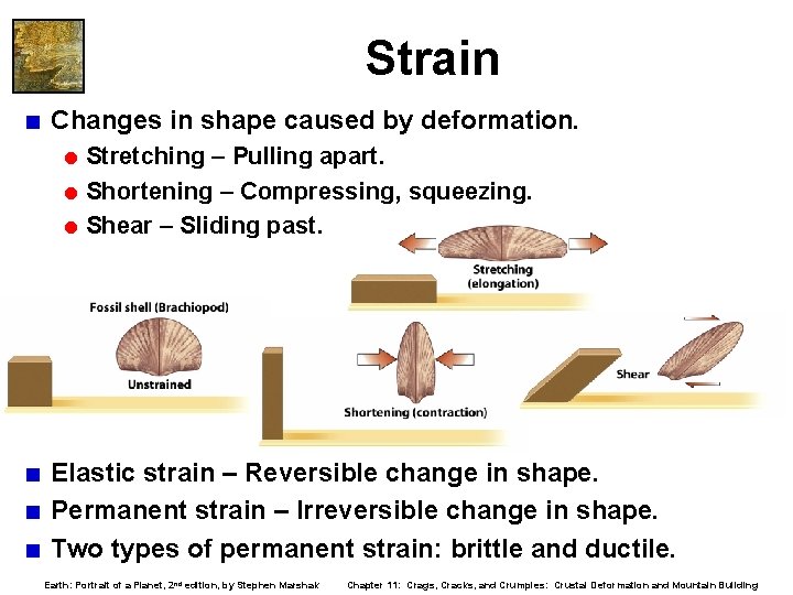 Strain < Changes in shape caused by deformation. = Stretching – Pulling apart. =