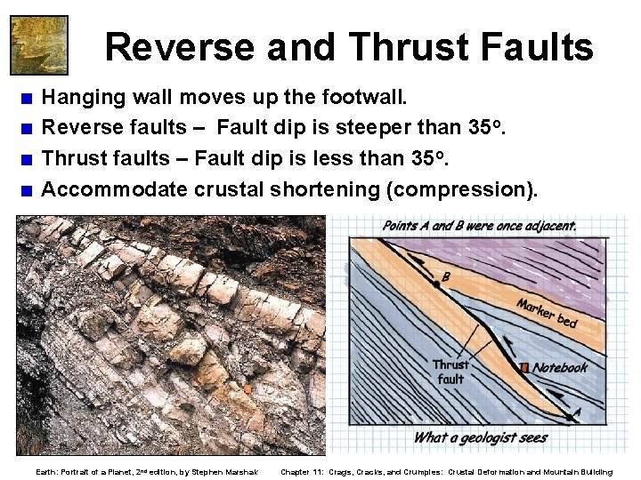 Reverse and Thrust Faults < Hanging wall moves up the footwall. < Reverse faults