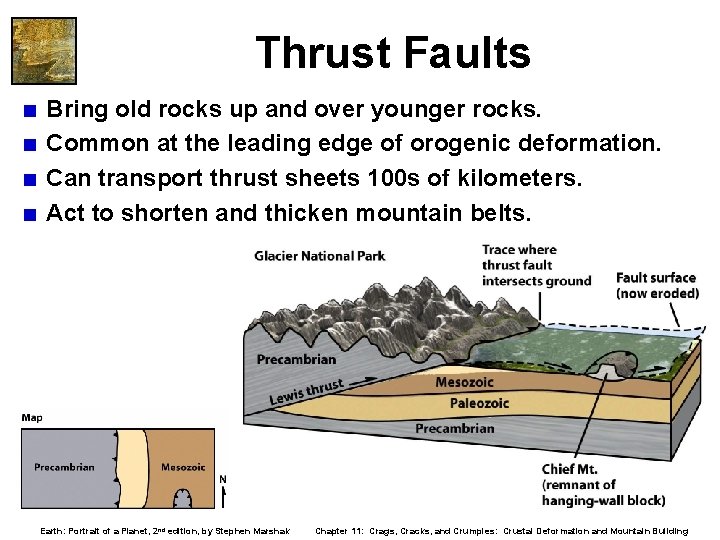 Thrust Faults < Bring old rocks up and over younger rocks. < Common at Thrust Faults < Bring old rocks up and over younger rocks. < Common at