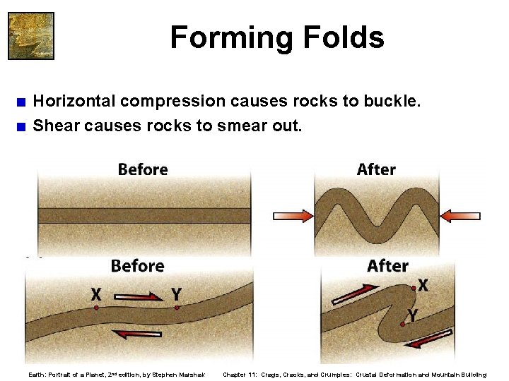 Forming Folds < Horizontal compression causes rocks to buckle. < Shear causes rocks to