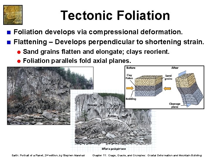 Tectonic Foliation < Foliation develops via compressional deformation. < Flattening – Develops perpendicular to Tectonic Foliation < Foliation develops via compressional deformation. < Flattening – Develops perpendicular to