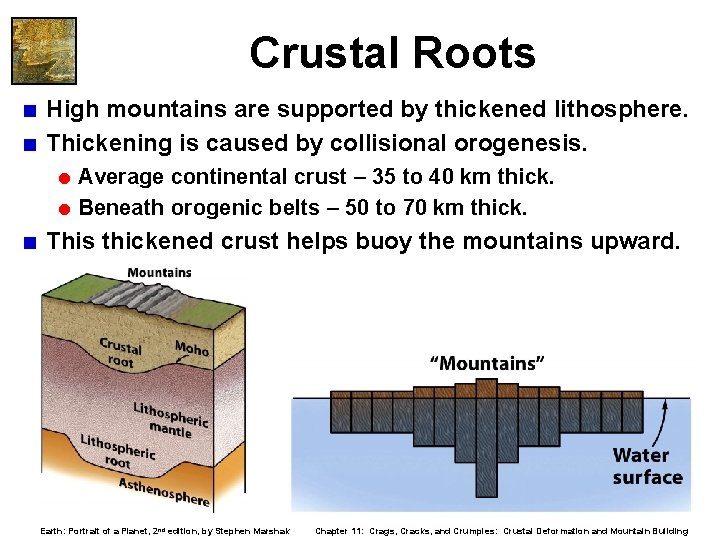 Crustal Roots < High mountains are supported by thickened lithosphere. < Thickening is caused