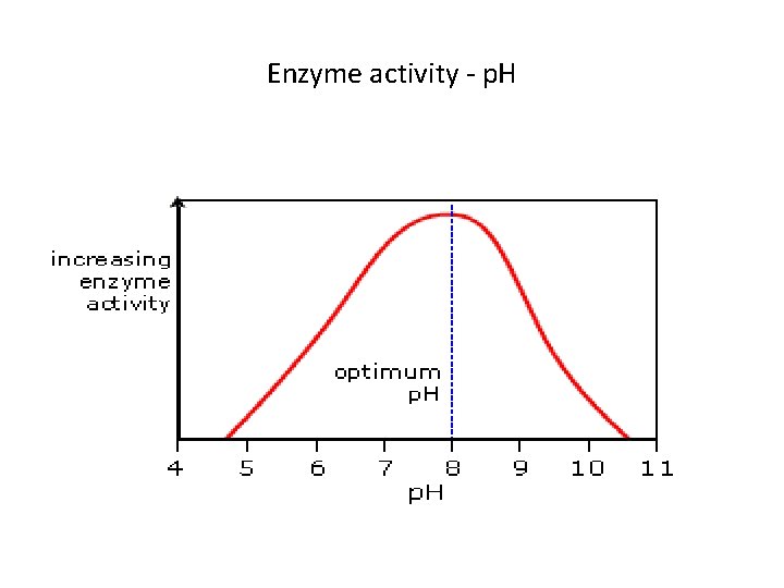 Enzyme activity - p. H 
