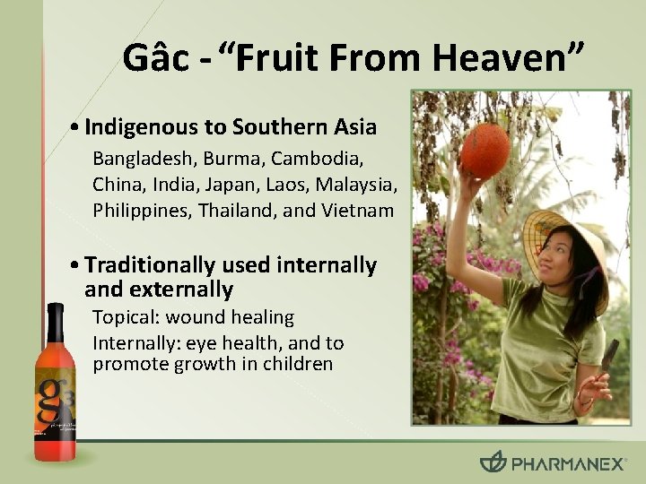 Gâc - “Fruit From Heaven” • Indigenous to Southern Asia Bangladesh, Burma, Cambodia, China,