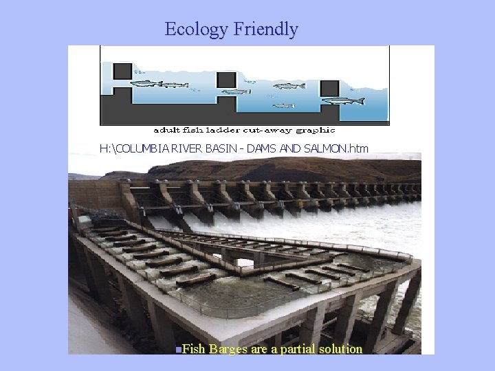 Ecology Friendly H: COLUMBIA RIVER BASIN - DAMS AND SALMON. htm n. Fish Barges