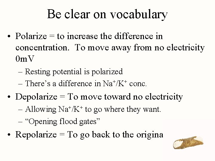 Be clear on vocabulary • Polarize = to increase the difference in concentration. To