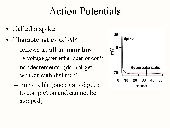 Action Potentials • Called a spike • Characteristics of AP – follows an all-or-none