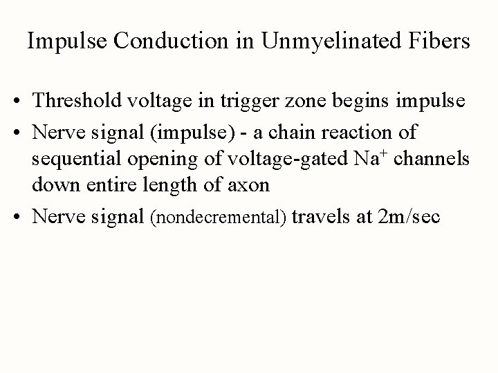 Impulse Conduction in Unmyelinated Fibers • Threshold voltage in trigger zone begins impulse •