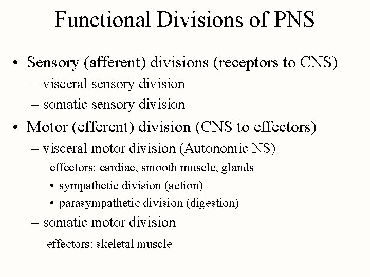 Functional Divisions of PNS • Sensory (afferent) divisions (receptors to CNS) – visceral sensory