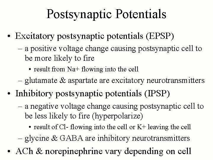 Postsynaptic Potentials • Excitatory postsynaptic potentials (EPSP) – a positive voltage change causing postsynaptic
