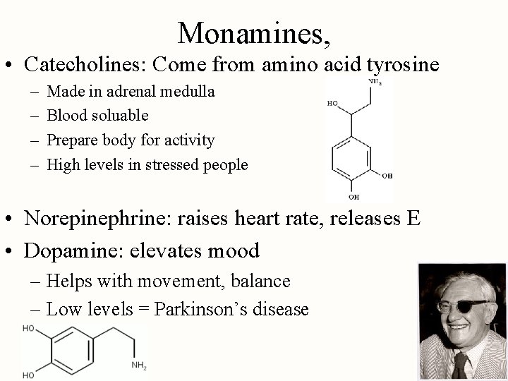 Monamines, • Catecholines: Come from amino acid tyrosine – – Made in adrenal medulla