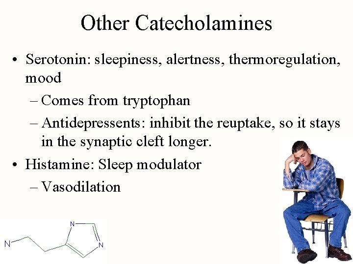 Other Catecholamines • Serotonin: sleepiness, alertness, thermoregulation, mood – Comes from tryptophan – Antidepressents: