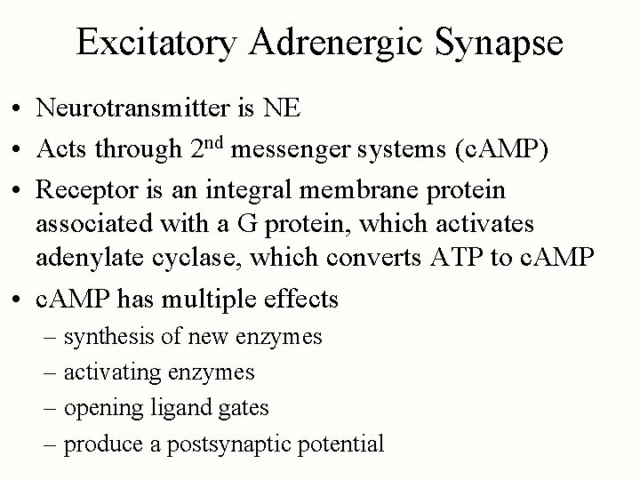 Excitatory Adrenergic Synapse • Neurotransmitter is NE • Acts through 2 nd messenger systems