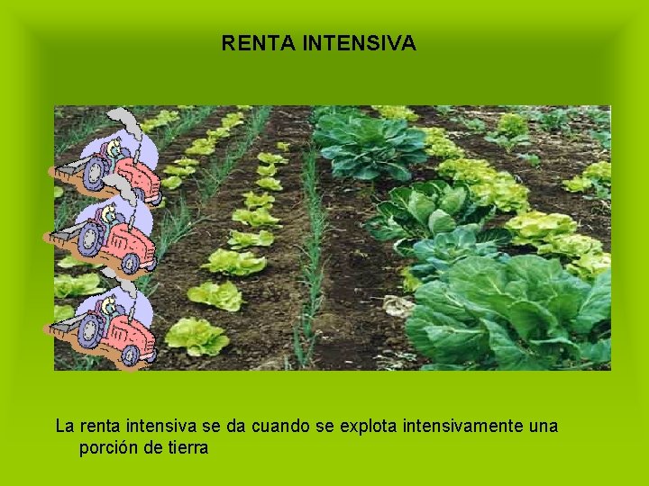 RENTA INTENSIVA La renta intensiva se da cuando se explota intensivamente una porción de