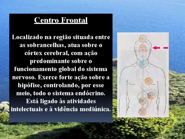 Centro Frontal Localizado na região situada entre as sobrancelhas, atua sobre o córtex cerebral,