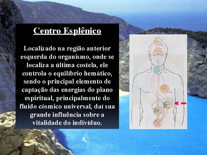 Centro Esplênico Localizado na região anterior esquerda do organismo, onde se localiza a última