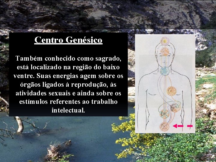 Centro Genésico Também conhecido como sagrado, está localizado na região do baixo ventre. Suas