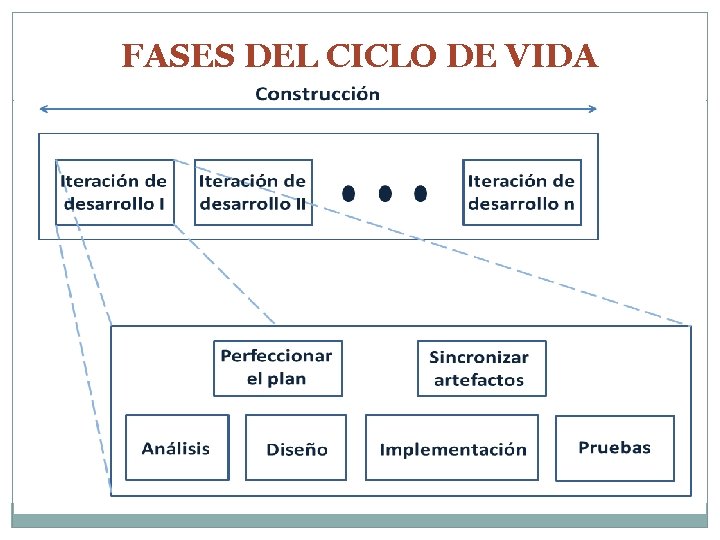 FASES DEL CICLO DE VIDA 
