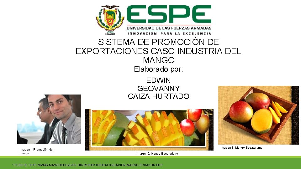 SISTEMA DE PROMOCIÓN DE EXPORTACIONES CASO INDUSTRIA DEL MANGO Elaborado por: EDWIN GEOVANNY CAIZA