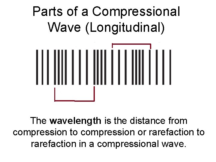 Parts of a Compressional Wave (Longitudinal) The wavelength is the distance from compression to