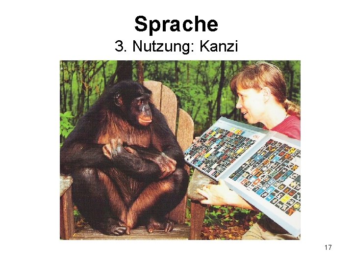 Sprache 3. Nutzung: Kanzi 17 