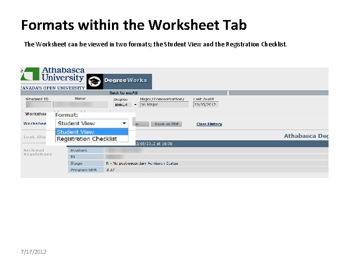 Formats within the Worksheet Tab The Worksheet can be viewed in two formats; the