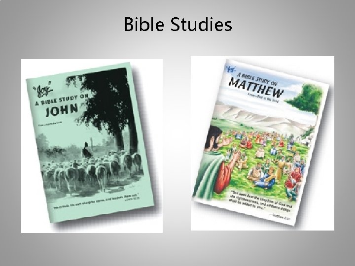 Bible Studies 