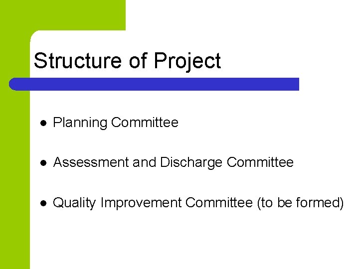 Structure of Project l Planning Committee l Assessment and Discharge Committee l Quality Improvement