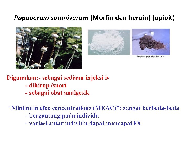 Papaverum somniverum (Morfin dan heroin) (opioit) Digunakan: - sebagai sediaan injeksi iv - dihirup
