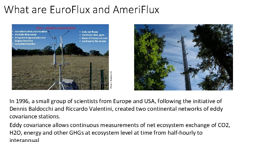 What are Euro. Flux and Ameri. Flux In 1996, a small group of scientists