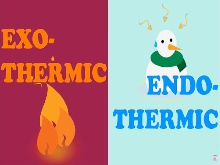 Endothermic and Exothermic Reactions 