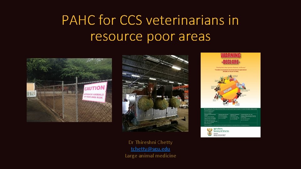 PAHC for CCS veterinarians in resource poor areas Dr Thireshni Chetty tchetty@sgu. edu Large