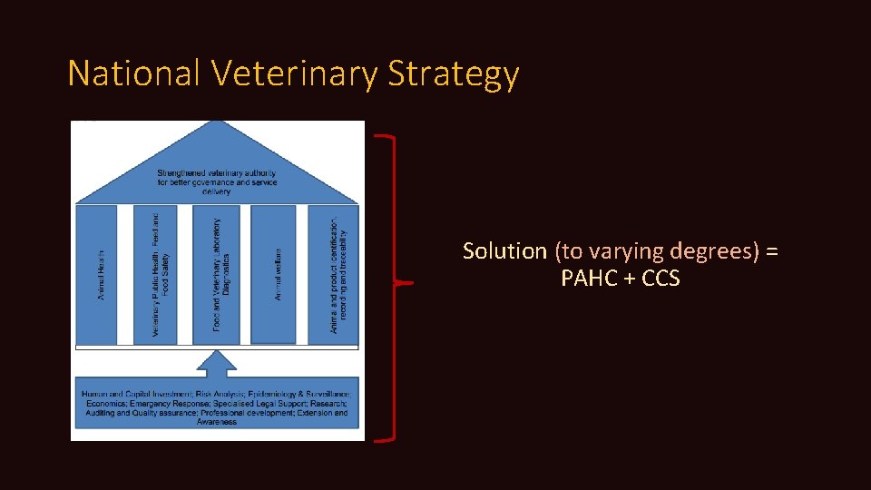 National Veterinary Strategy Solution (to varying degrees) = PAHC + CCS 
