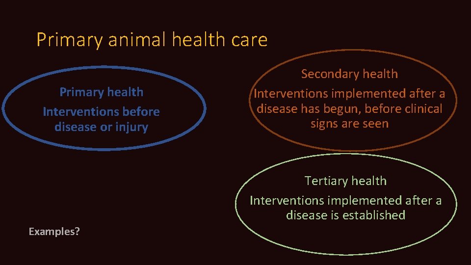 Primary animal health care Primary health Interventions before disease or injury Secondary health Interventions