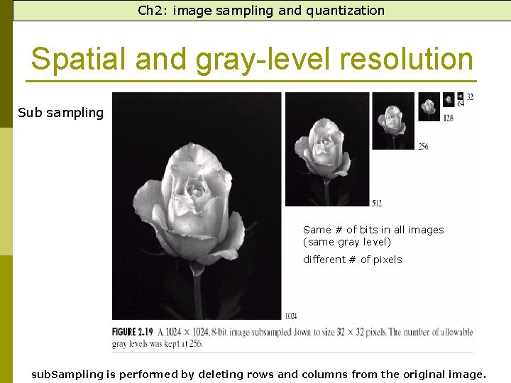 Ch 2: image sampling and quantization Spatial and gray-level resolution Sub sampling Same #