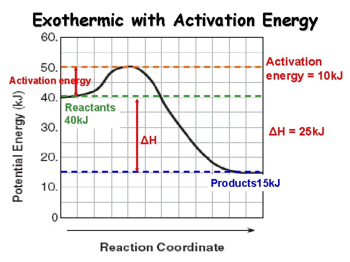 Exothermic with Activation Energy Activation energy = 10 k. J Activation energy Reactants 40 Exothermic with Activation Energy Activation energy = 10 k. J Activation energy Reactants 40