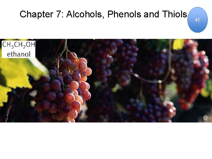 Chapter 7: Alcohols, Phenols and Thiols 45 Chapter 7: Alcohols, Phenols and Thiols 45