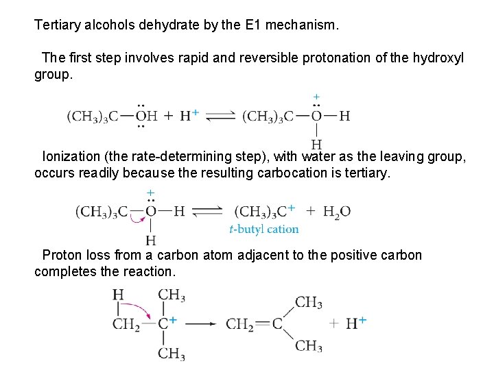 Tertiary alcohols dehydrate by the E 1 mechanism. The first step involves rapid and