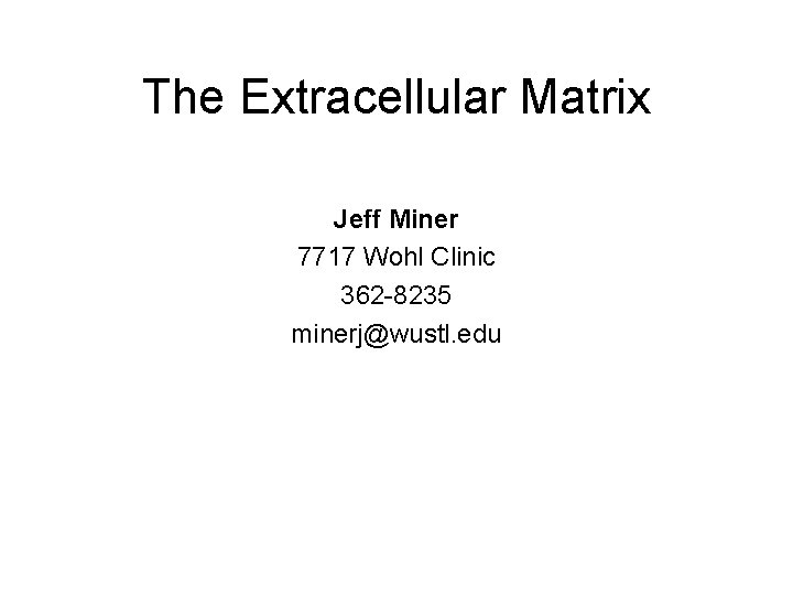 The Extracellular Matrix Jeff Miner 7717 Wohl Clinic 362 -8235 minerj@wustl. edu 