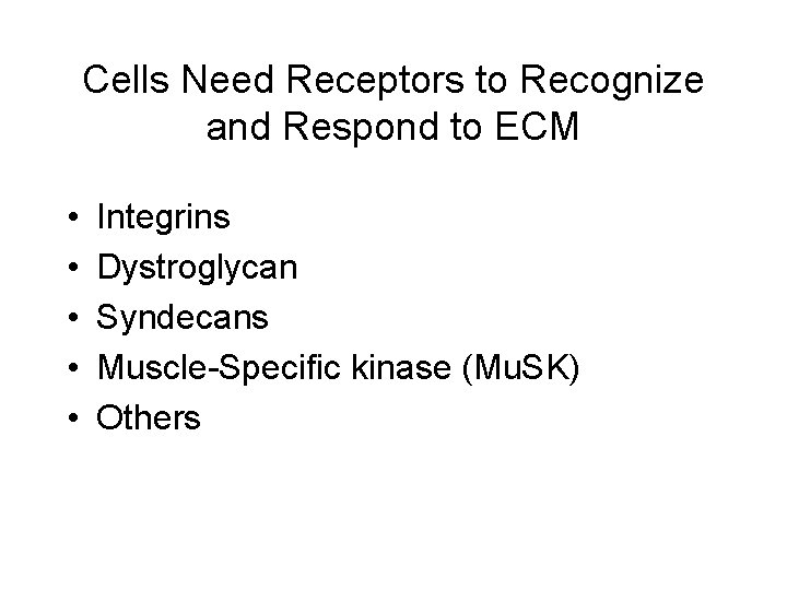 Cells Need Receptors to Recognize and Respond to ECM • • • Integrins Dystroglycan