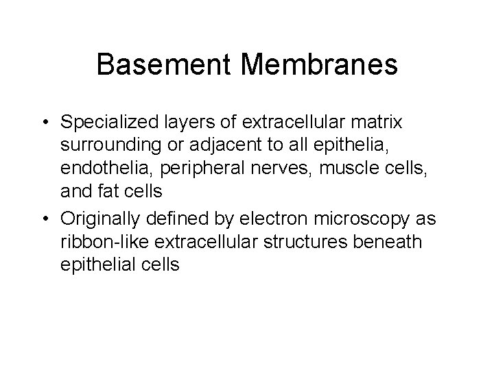 Basement Membranes • Specialized layers of extracellular matrix surrounding or adjacent to all epithelia,