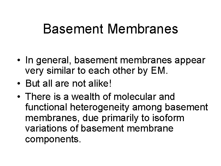 Basement Membranes • In general, basement membranes appear very similar to each other by