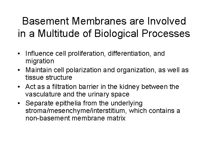 Basement Membranes are Involved in a Multitude of Biological Processes • Influence cell proliferation, Basement Membranes are Involved in a Multitude of Biological Processes • Influence cell proliferation,