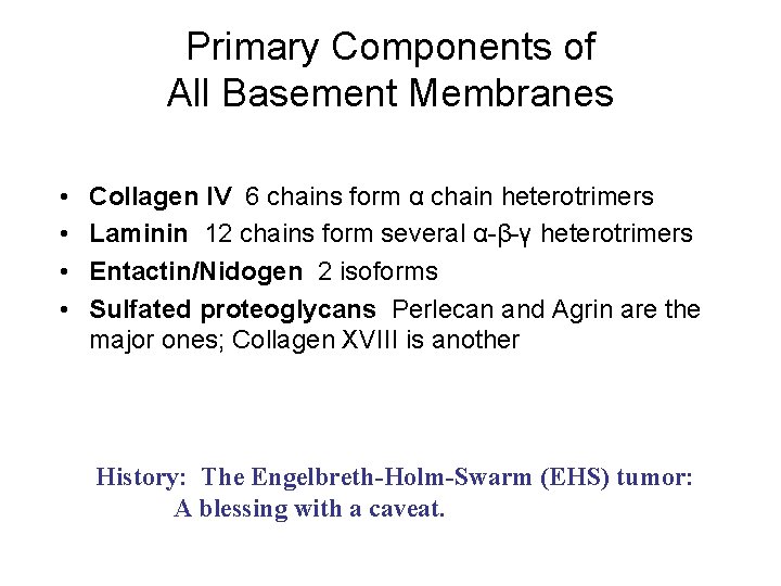 Primary Components of All Basement Membranes • • Collagen IV 6 chains form α