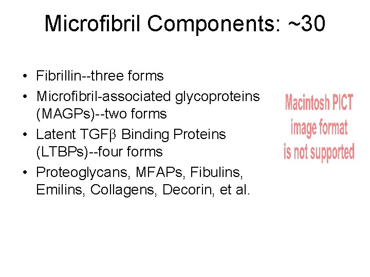 Microfibril Components: ~30 • Fibrillin--three forms • Microfibril-associated glycoproteins (MAGPs)--two forms • Latent TGFβ