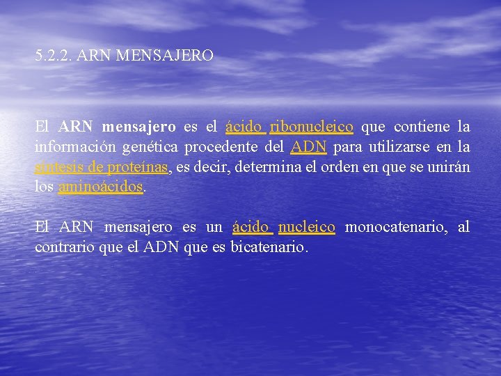 5. 2. 2. ARN MENSAJERO El ARN mensajero es el ácido ribonucleico que contiene