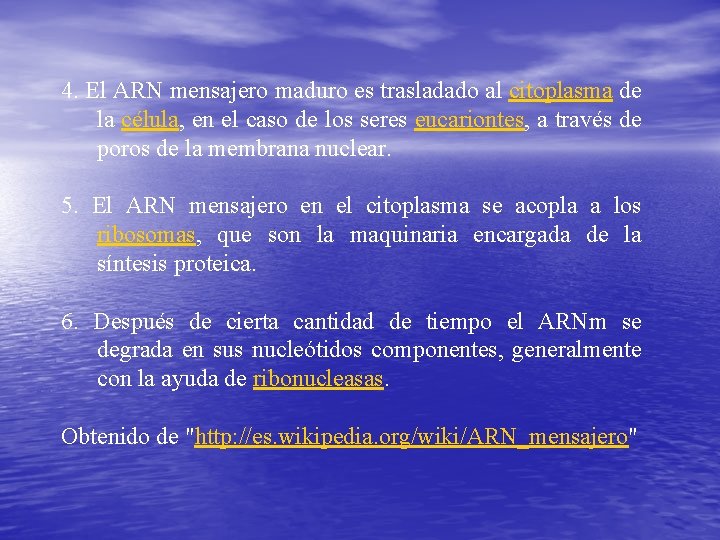 4. El ARN mensajero maduro es trasladado al citoplasma de la célula, en el