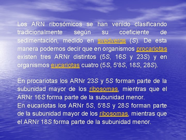 Los ARN ribosómicos se han venido clasificando tradicionalmente según su coeficiente de sedimentación, medido